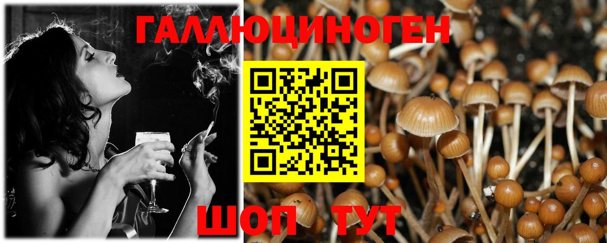 Россошь  Псилоцибиновые грибы мухоморы  Вход с VPN 