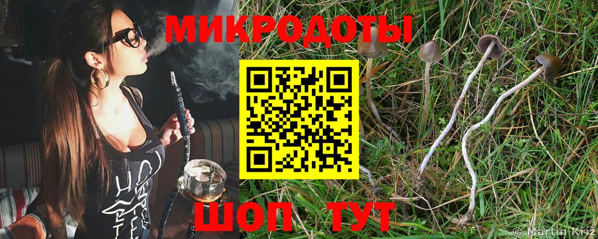 Псилоцибиновые грибы Psilocybine cubensis Россошь